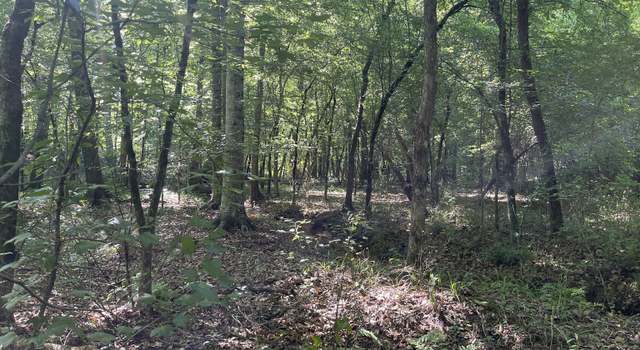 Photo of 0 Bevis Rd Lot 6, Franklin, GA 30217