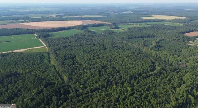 Photo of 0 County Road 89, Black, AL 36314