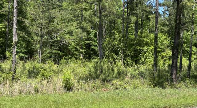 Photo of 13059 E State Route 26 Rd, Montezuma, GA 31063