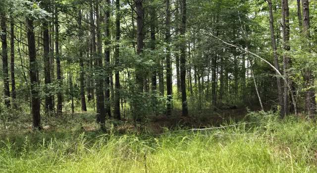 Photo of 0 Hwy 199, Rockledge, GA 30454