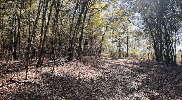 Photo of 0 Harrison Mill Rd, Coleman, GA 39836