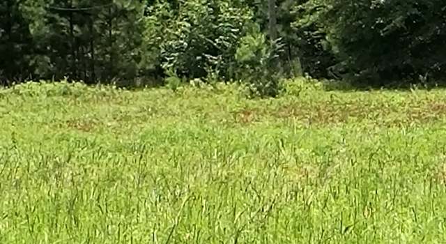 Photo of 1828 Tribble Rd, Fort Valley, GA 31030