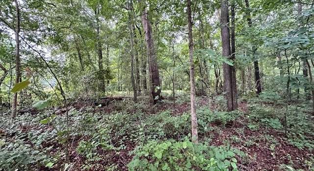 Photo of 0 Nowhere Rd, Nicholson, GA 30565