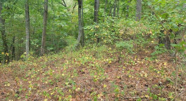 Photo of 929 Aurora Ln, Ranger, GA 30734