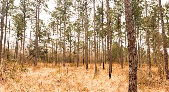 Photo of 0 Newton Rd, Bainbridge, GA 39817
