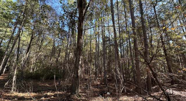 Photo of LOT 21 Cochran Hwy, Eastman, GA 31023