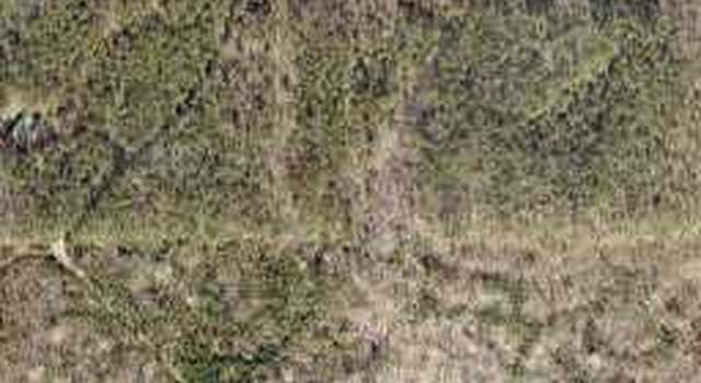 Photo of 0 Kendall Dr, Thomaston, GA 30286
