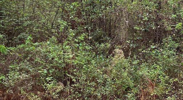 Photo of LOT 3 Coleman Chapel Rd, Swainsboro, GA 30401