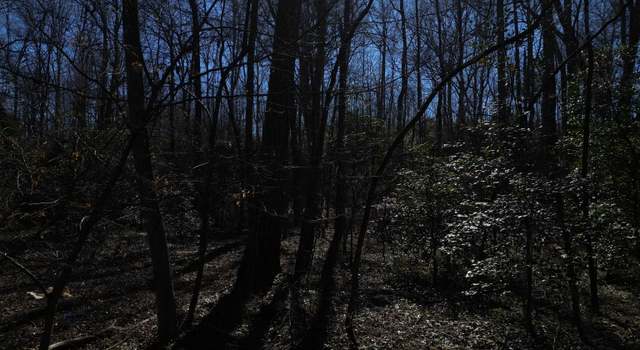 Photo of 281 Grindstone Creek Dr, Clarkesville, GA 30523