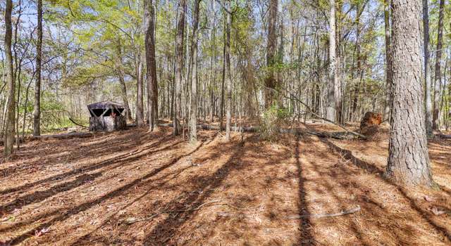 Photo of 20.14 Drew Allen Rd, Williamson, GA 30292