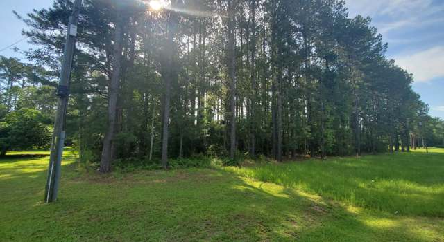 Photo of 0 Willow Lake Rd, Fort Valley, GA 31030