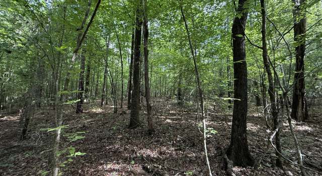 Photo of 9.07 ACRES Us Highway 80 W Lot 1, Roberta, GA 31078
