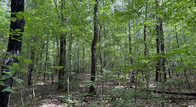 Photo of 8 ACRES Us Highway 80 W Lot 2, Roberta, GA 31078