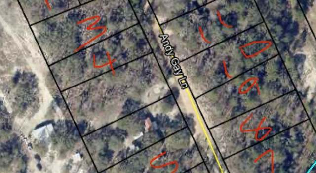Photo of 0 Andy Gay Ln, Reidsville, GA 30453