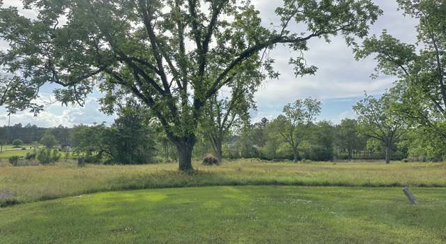 Photo of 0 Scuppernong Dr, Mc Rae Helena, GA 31055