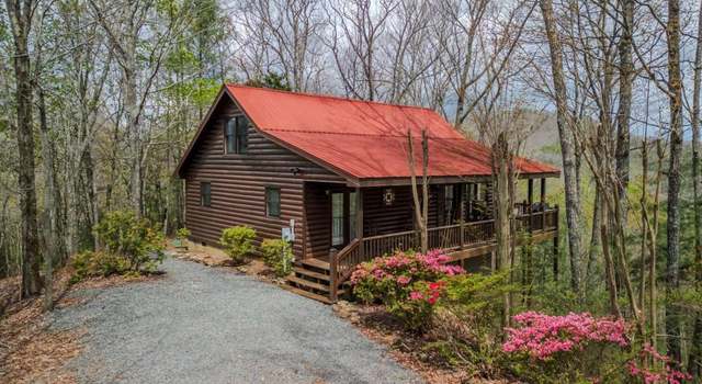 Photo of 507 Bushy Head Rd, Cherry Log, GA 30522