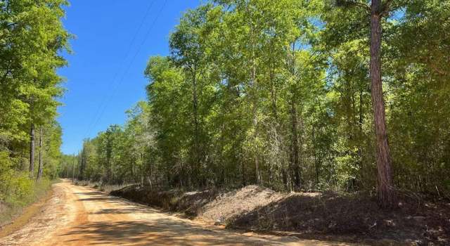 Photo of 0(2B) Farmers Rd, Alamo, GA 30411