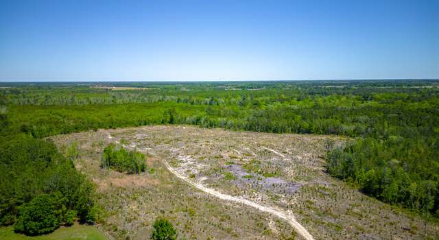 Photo of TRACT 2 Scuffletown Rd, Bristol, GA 31518