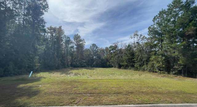 Photo of LOT 116 Marsh Oaks Dr, Waverly, GA 31565