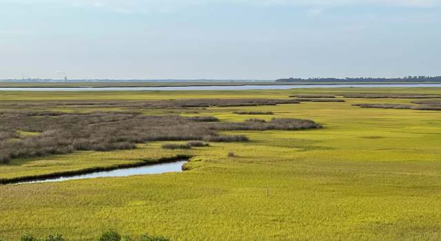 Photo of 0 Salt Cottage Way, St. Marys, GA 31558