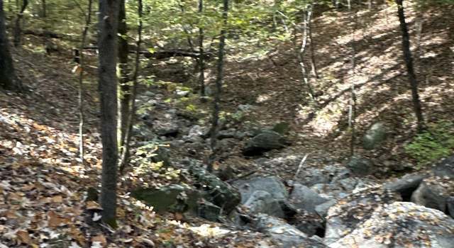 Photo of TRACT 3 Dennis Creek Rd, Talbotton, GA 31827