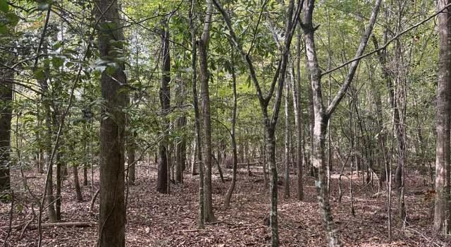 Photo of 0 Club Rd, Toomsboro, GA 31090