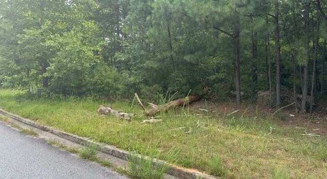 Photo of 4020 Gold Springs Pass #38, Villa Rica, GA 30180