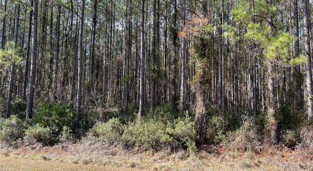 Photo of LOT 67 Waverly Ln, Waverly, GA 31568