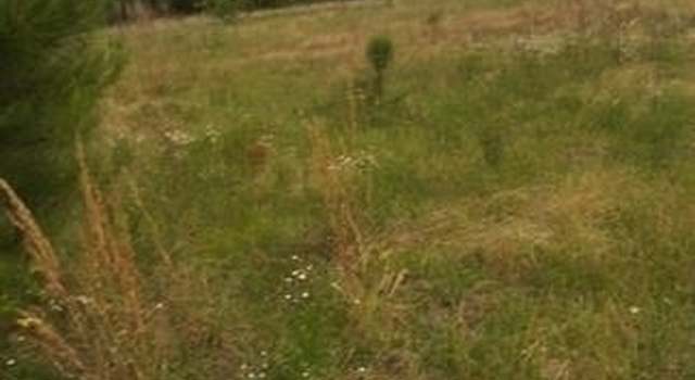 Photo of 0 Ponderosa Rd, Waynesboro, GA 30830