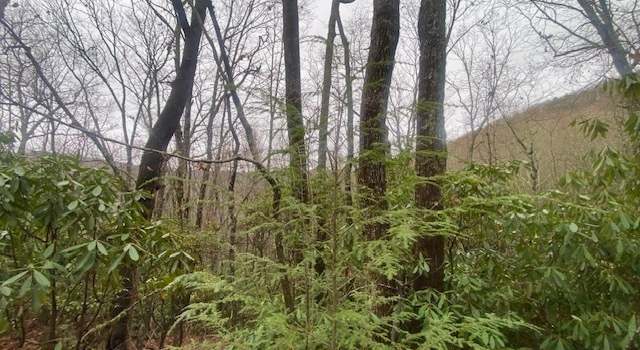 Photo of LOT 17 Ridgepole Dr, Sky Valley, GA 30537