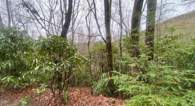 Photo of LOT 17 Ridgepole Dr, Sky Valley, GA 30537