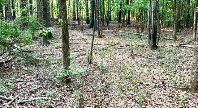 Photo of 0 Sewell Mill Rd, Ila, GA 30647
