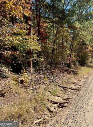 Haralson County, GA Land for Sale -- Acerage, Cheap Land & Lots for Sale