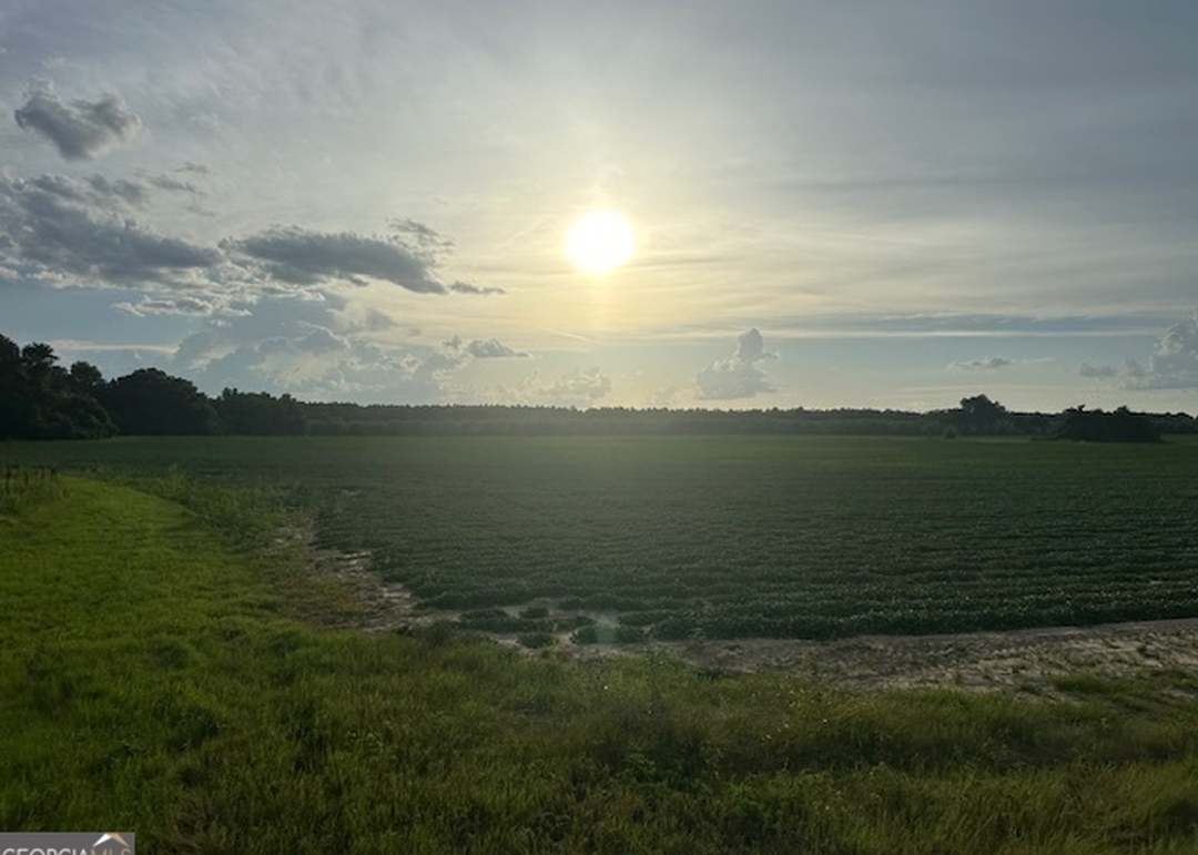 0 Spring Creek Rd, Bainbridge, GA 39817