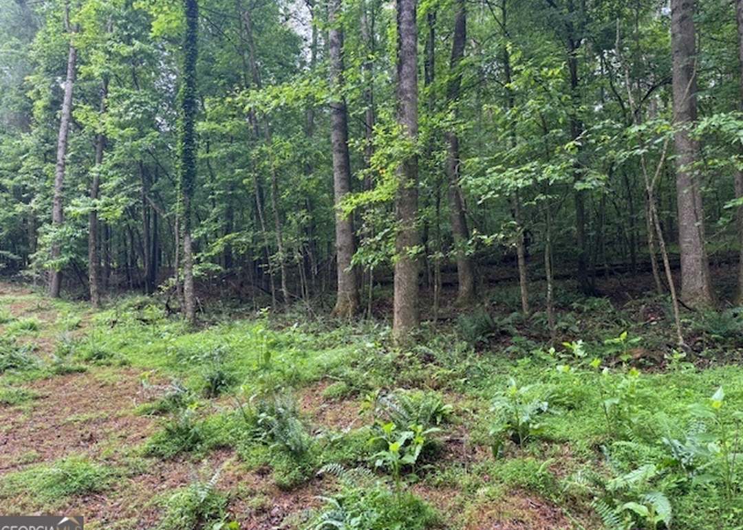 LT 32 Johnson Mill Rd, Ellijay, GA 30536