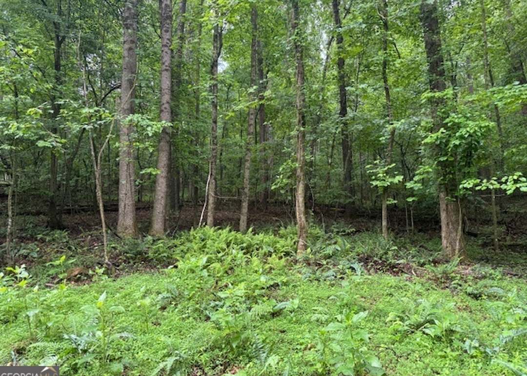 LT 32 Johnson Mill Rd, Ellijay, GA 30536