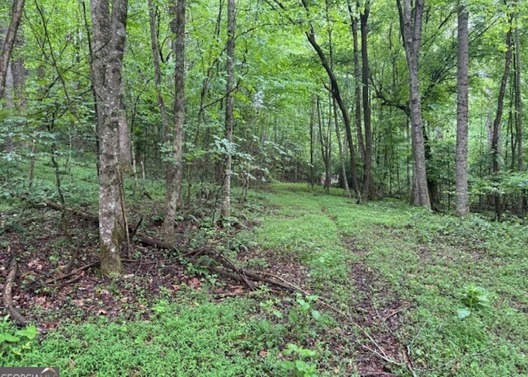 LT 32 Johnson Mill Rd, Ellijay, GA 30536