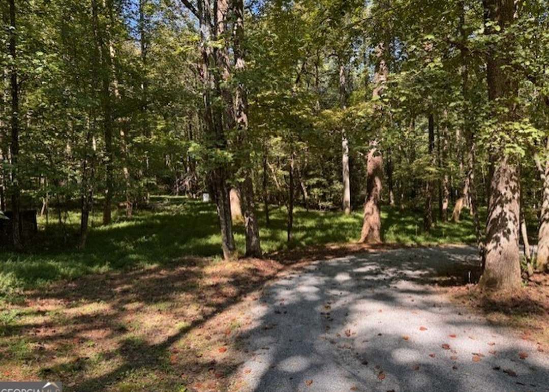 LT 32 Johnson Mill Rd, Ellijay, GA 30536
