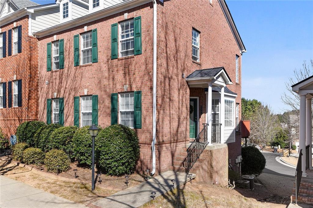 town center animal hospital suwanee