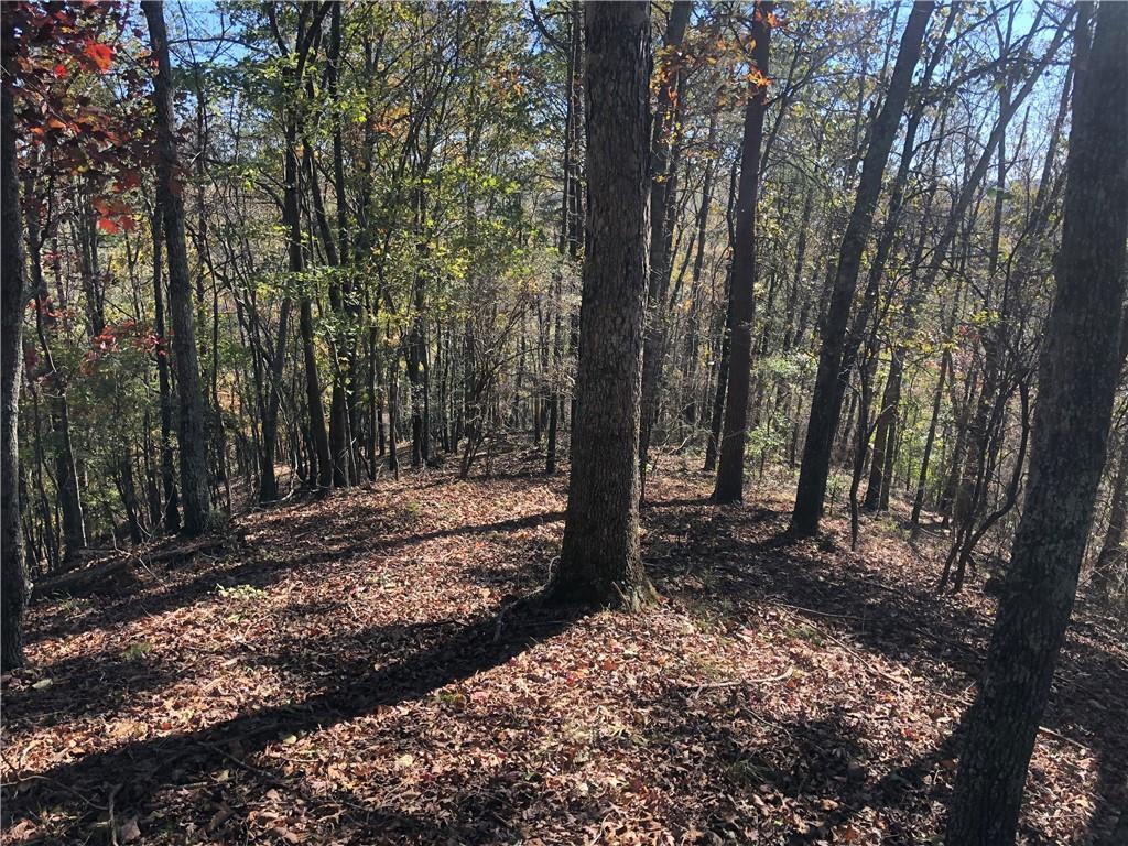 928 Golden Bear Pass, Dahlonega, GA 30533 MLS 6805191 Redfin