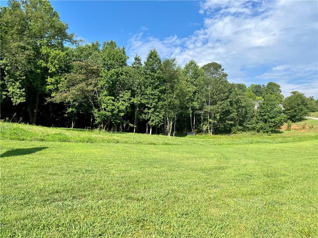6911 Yellow Creek Rd, Ball Ground, GA 30107 MLS 7083709 Redfin