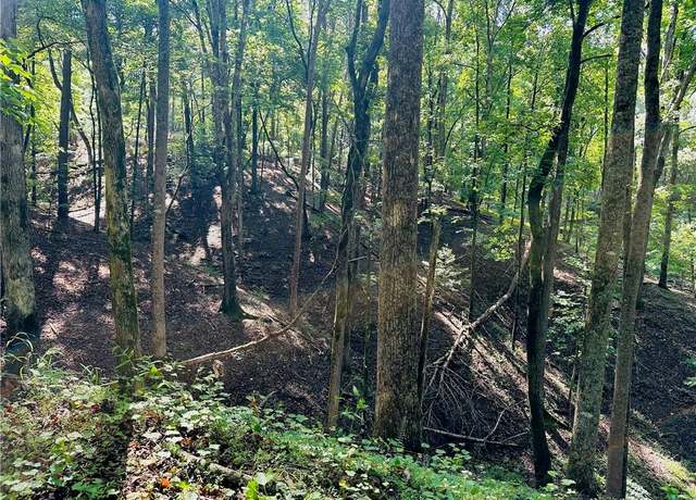 Property at 7.123 Acres Halls Mill Rd, Dahlonega, GA 30533
