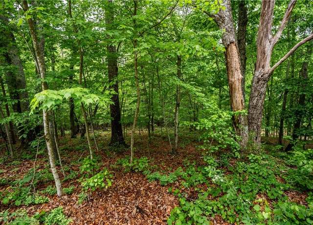 Property at 3843 Skyline Dr, Gainesville, GA 30501