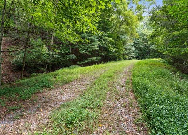 Property at LOT 10 Papa Bear Path, Cherry Log, GA 30522