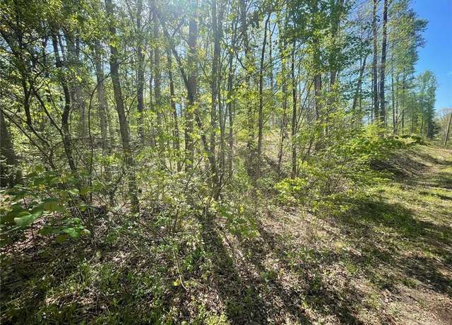 Property at 174 Navajo Trl, Martin, GA 30557