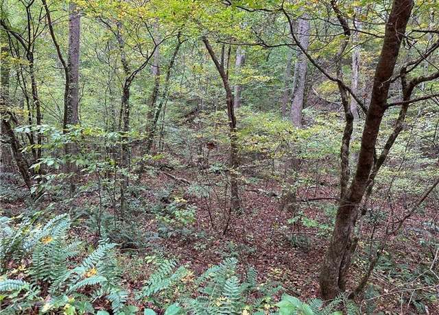 Property at 854 Albus Ct NE, Ranger, GA 30734