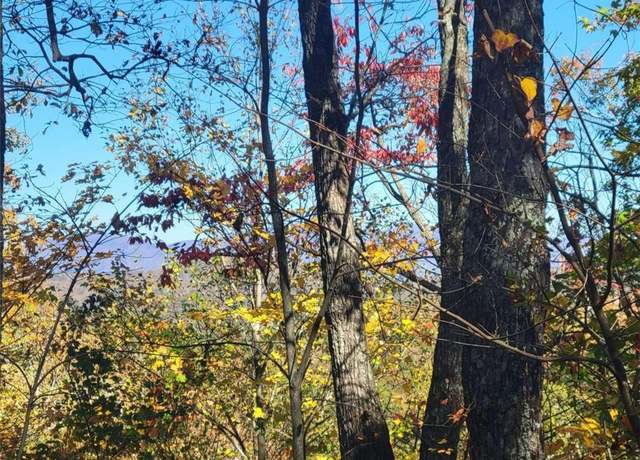 Property at 14 AC Old Burnt Mtn, Ellijay, GA 30540