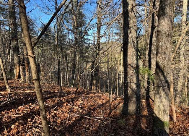Property at 1551 Dorian Ct, Ranger, GA 30734