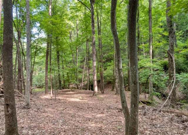 Property at 90 Cardinal Cv, Big Canoe, GA 30143
