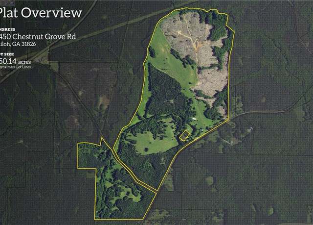 Property at 2450 Chestnut Grove Rd, Shiloh, GA 31826, 3 beds, 1 bath